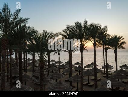 Plage vide sans personnes avec des palmiers et des parasols sur la toile de fond de la mer Rouge en Egypte Charm El Sheikh au lever du soleil Banque D'Images