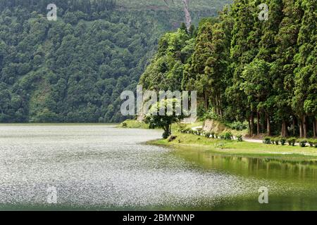 Lac cratère avec reflets de soleil et arbre frappant en face d'une zone forestière, verts - emplacement: Açores, île Sao Miguel, Caldeira das Sete Cidades, Banque D'Images