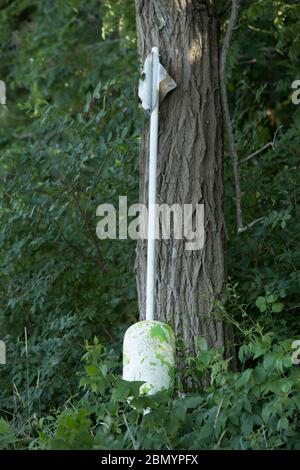 La bouée de homard ancienne se trouvait au repos contre un arbre. Lanes Cove est une petite région de pêche dans North Gloucester, Massachusetts. Petite crique avec amarres. Banque D'Images