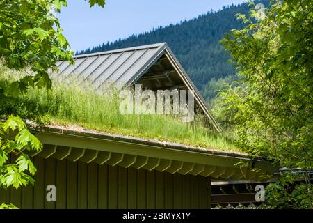 North Bend, Washington, États-Unis. Toit vert sur un bâtiment. Les avantages d'un toit vert incluent : une meilleure qualité de l'air, une réduction de la chaleur et plus encore Banque D'Images