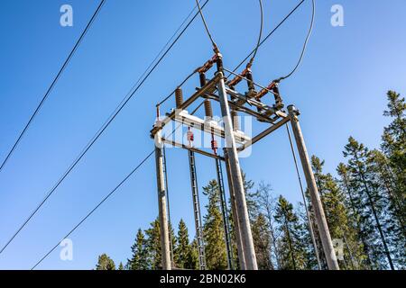 Poteau de service en bois pour pylône électrique 3 phases d'énergie et de distribution. Distribution électrique de la ligne électrique haute tension à la basse tension f Banque D'Images