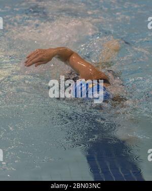 65 à 70 ans pour hommes, compétition de natation gratuite. Banque D'Images