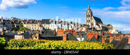 Sites et voyages en France. Vallée de la Loire, ville médiévale de Blois et célèbre château royal Banque D'Images