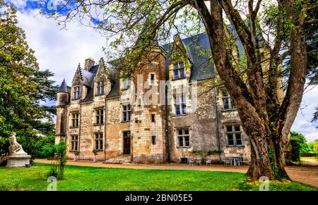 France tourisme et voyages. Beaux châteaux de la vallée de la Loire - élégant château de Montresor . Banque D'Images