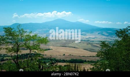 Monte Amiata dans le ciel bleu de Montepulciano avec de petits nuages blancs au sommet, en été avec des Acacia en premier plan. Banque D'Images