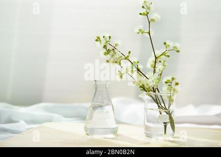 fleur sauvage nature blanche en verre flacon et bécher pour la recherche cosmétique biologique de soin de peau concept avec tissu blanc doux fenêtre rétrogro léger Banque D'Images