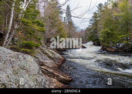 OxTongue Rapids montrant High Falls en hiver Banque D'Images