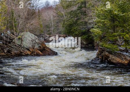 OxTongue Rapids montrant High Falls en hiver Banque D'Images