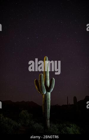 Nuit dans les montagnes de Tortolita, Marana, près de Tucson, Arizona. Banque D'Images