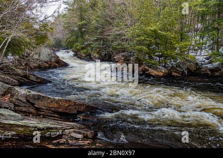 OxTongue Rapids montrant High Falls en hiver Banque D'Images