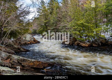 OxTongue Rapids montrant High Falls en hiver Banque D'Images