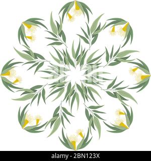 Abstrait rond nature ornement, mandala avec des feuilles d'eucalyptus et des fleurs. Motif floral circulaire isolé sur fond blanc Illustration de Vecteur