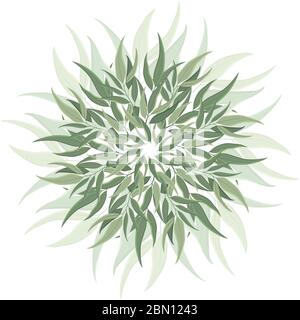 Décoration ronde abstraite, mandala avec feuilles d'eucalyptus. Motif botanique circulaire, motif isolé sur fond blanc Illustration de Vecteur