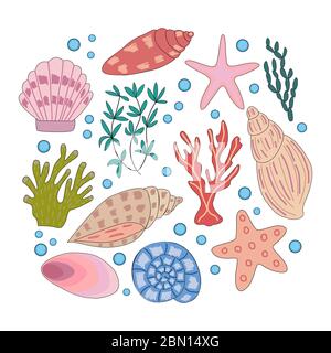 Ensemble d'animaux marins et de coraux dans des graphiques vectoriels sur fond blanc. Pour la conception des enfants, des illustrations de dessins animés, des cartes postales, des imprimés, des stikers Illustration de Vecteur