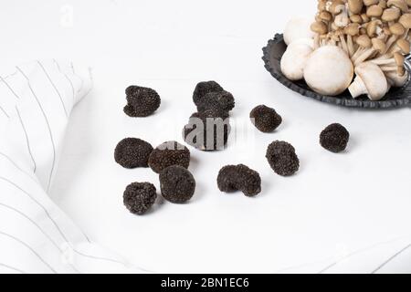 Champignons sauvages, truffes, porcini, chanterelle, champignon isolés sur fond de bois blanc Banque D'Images