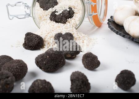 Champignons sauvages, truffes, porcini, chanterelle, champignon isolés sur fond de bois blanc Banque D'Images