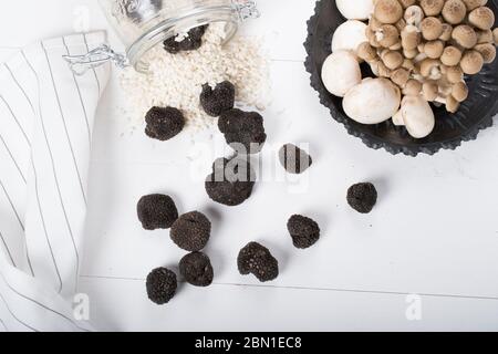 Champignons sauvages, truffes, porcini, chanterelle, champignon isolés sur fond de bois blanc Banque D'Images