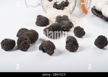 Champignons sauvages, truffes, porcini, chanterelle, champignon isolés sur fond de bois blanc Banque D'Images