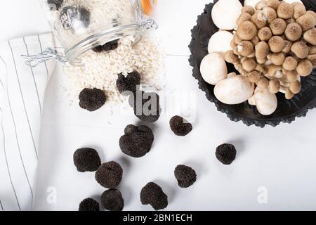 Champignons sauvages, truffes, porcini, chanterelle, champignon isolés sur fond de bois blanc Banque D'Images