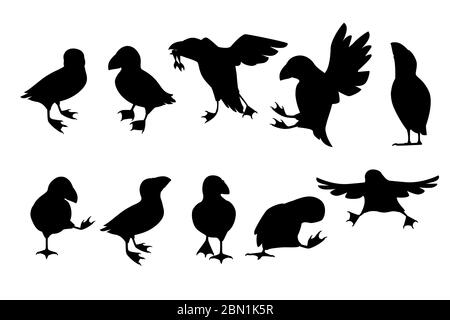 Ensemble de silhouette noire de l'oiseau de macareux de l'atlantique dans différentes poses dessin animé animal dessin illustration vectorielle plate isolée sur fond blanc Illustration de Vecteur