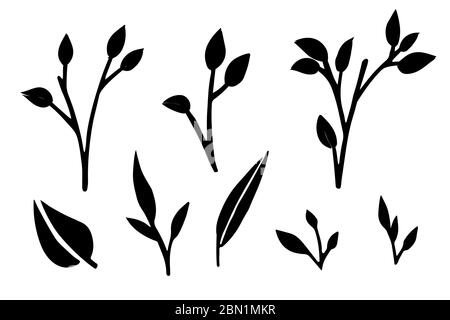 Silhouettes noires ensemble de feuilles et de feuilles sur les branches illustration vectorielle plate isolée sur fond blanc Illustration de Vecteur