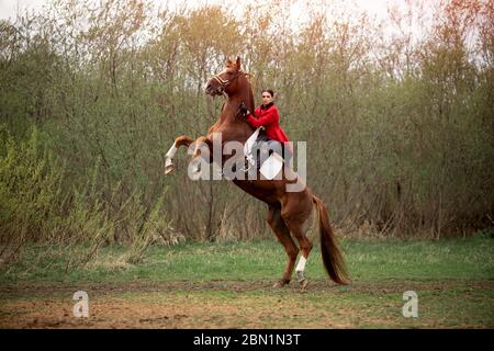 Femme jockey exécute le tour de bougie sur l'hippodrome. Banque D'Images