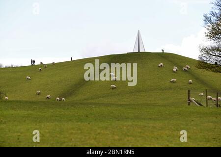 Moutons paissant sous les champs de Campbell Park sur la colline par la pyramide des lumières Banque D'Images