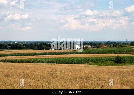 Pologne rurale, vue sur les champs de ferme à village lointain en été Banque D'Images