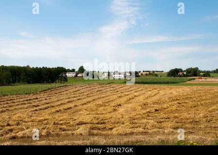 Pologne rurale, vue sur le champ récolté à village en arrière-plan Banque D'Images