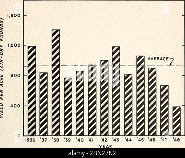 'Utilisation efficace des plantes annuelles sur les élevages de bétail dans les contreforts de Californie' (1951) Banque D'Images