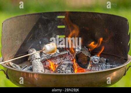 Guimauve sur un bâton au niveau du piquet. Guimauves frites. Pique-nique dans la nature. Guimauves sur fond de feu. Banque D'Images