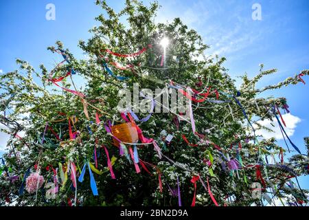 Des rubans accrochés à un arbre qui souhaite le voir, également ornés de messages et de poèmes, ont été présentés à Clifton Downs, Bristol, où les messages du coronavirus et les sentiments d'espoir et de positivité ont été liés à l'arbre par des rubans colorés. Banque D'Images