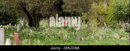 Une seule figure en rouge dans le cimetière Brompton, Old Brompton Road, Kensington, Londres; l'un des sept magnifiques cimetières Banque D'Images