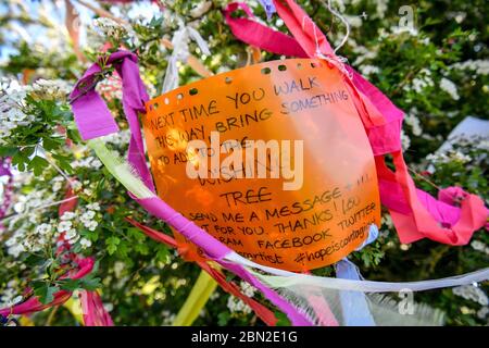 Un message lié à un arbre qui souhaite la naissance, orné de rubans, de messages et de poèmes, qui est apparu sur Clifton Downs, Bristol, où les messages du coronavirus et les sentiments d'espoir et de positivité ont été liés à l'arbre par des rubans colorés. Banque D'Images