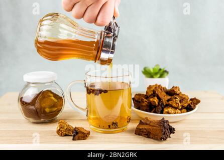 Personne boisson de thé makind avec champignon de chaga naturel sauvage de bouleau arbre, morceaux d'Inonotus obliquus dans le verre de thé sur table en bois à l'intérieur de la maison. Banque D'Images