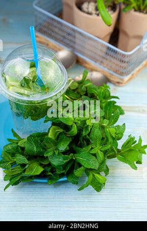 Mojito et Lemonade boisson froide d'été dans un verre de plastique avec une paille. Queue de cocon à la menthe, au citron, au citron vert et à la glace. Servir au bar. Gros plan sur les boissons. Banque D'Images