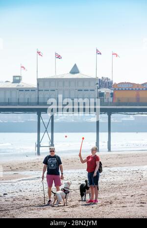 Randonneurs à chiens avec un lanceur de balles sur la plage déserte proche de Paignton, au Royaume-Uni, pendant le confinement du coronavirus. Banque D'Images