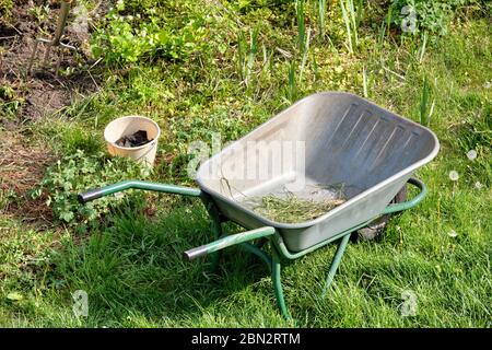 Travail de jardin de printemps en Allemagne : une brouette métallique avec un peu d'herbe et un seau debout sur une pelouse naturelle à côté de quelques plantes par une journée ensoleillée à Ma Banque D'Images