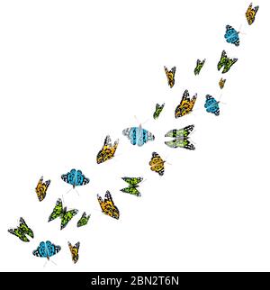 Papillons colorés volants isolés sur fond blanc. 3D réaliste de beaux papillons. Biologie. Belle illustration Banque D'Images