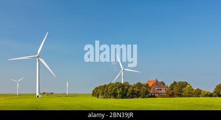 Image panoramique d'une ferme hollandaise avec éoliennes dans la province de Friesland Banque D'Images