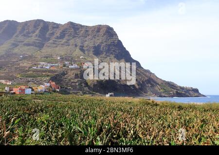 Baie de Santa Catalina avec des plantations de bananes, la Gomera, Canary Islands Banque D'Images