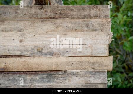 bois vierge, panneaux de planches rugueuses, arrière-plan, texture Banque D'Images