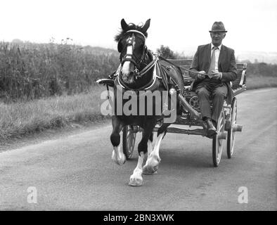 1980s, un voyageur gentleman portant un costume, une cravate et un chapeau, chevauchant son cheval et sa charrette sur une route de campagne ouverte, Yorkshire, Angleterre, Royaume-Uni. Banque D'Images