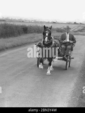 1980s, un voyageur gentleman portant un costume, une cravate et un chapeau, chevauchant son cheval et sa charrette sur une route de campagne ouverte, Yorkshire, Angleterre, Royaume-Uni. Banque D'Images