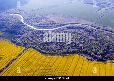 Envolez-vous à travers la rivière majestueuse, la forêt verdoyante et les champs de colza jaune en pleine floraison au coucher du soleil. Photographie de paysage Banque D'Images