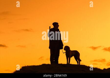 Chasseur avec fusil de chasse et chien Weimaraner silhoueté contre le ciel de la soirée Banque D'Images