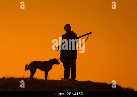 Chasseur avec fusil de chasse et chien Weimaraner silhoueté contre le ciel de la soirée Banque D'Images