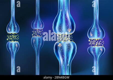 Signalisation dans le cerveau. Les connexions neuronales dans le cerveau forment des pensées, apprentissage de concept. Transmission d'impulsions dans un organisme vivant. Impulsions électroniques Synapse. 3d pour les présentations médicales. Banque D'Images
