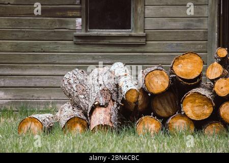 Un tas de bois fraîchement coupé est sur l'herbe par un ancien hangar dans le nord de l'Idaho. Banque D'Images