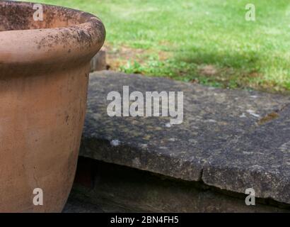 Bord de terre cuite pot à côté de marche dans le jardin à launis vert Banque D'Images